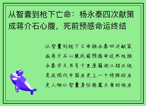 从智囊到枪下亡命：杨永泰四次献策成蒋介石心腹，死前预感命运终结